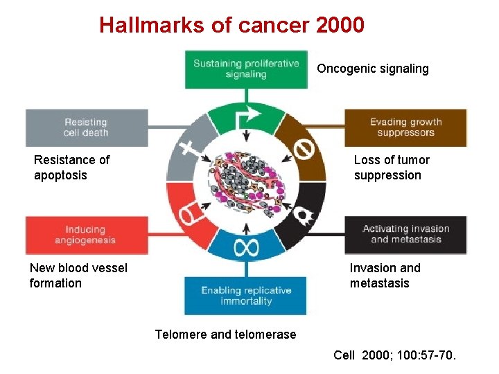 Hallmarks of cancer 2000 Oncogenic signaling Resistance of apoptosis Loss of tumor suppression New