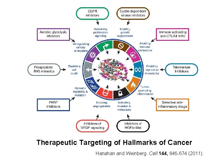 Therapeutic Targeting of Hallmarks of Cancer Hanahan and Weinberg. Cell 144, 646 -674 (2011).