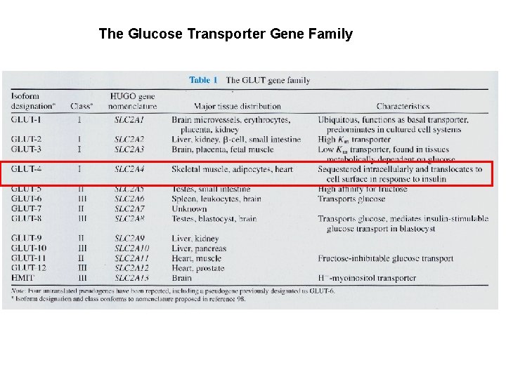 The Glucose Transporter Gene Family 