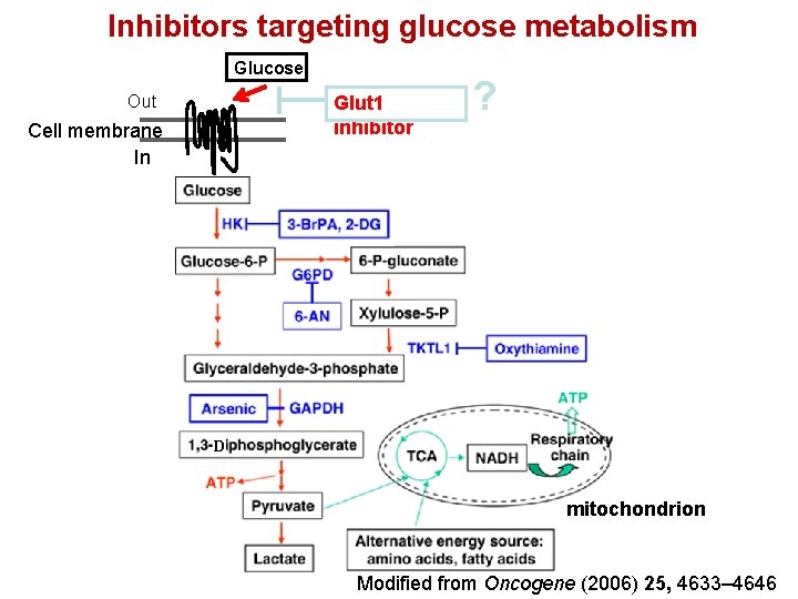 Inhibitors targeting glucose metabolism Glucose Out Glut 1 inhibitor Cell membrane In ? D