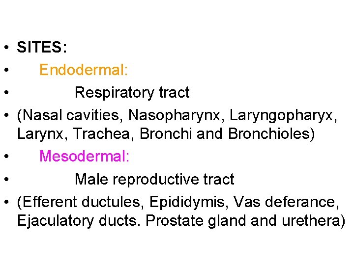  • SITES: • Endodermal: • Respiratory tract • (Nasal cavities, Nasopharynx, Laryngopharyx, Larynx,