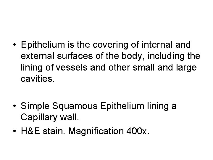  • Epithelium is the covering of internal and external surfaces of the body,