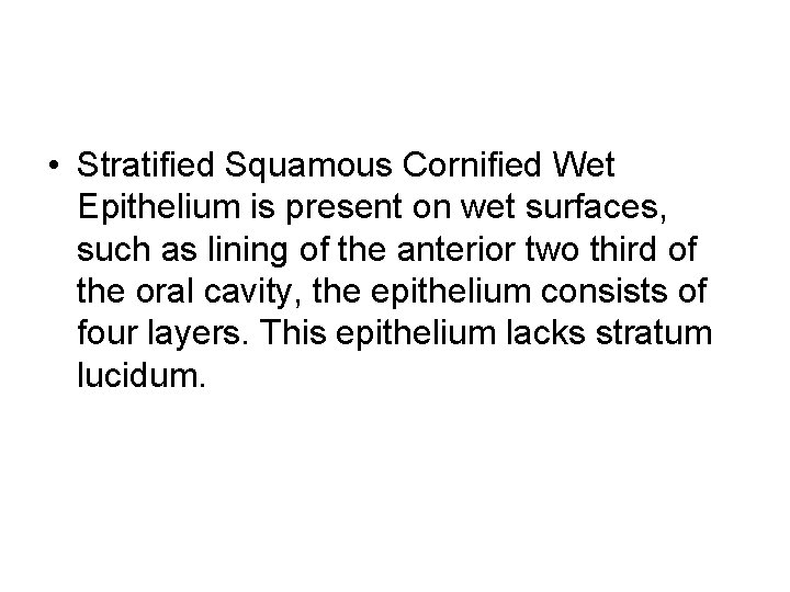  • Stratified Squamous Cornified Wet Epithelium is present on wet surfaces, such as