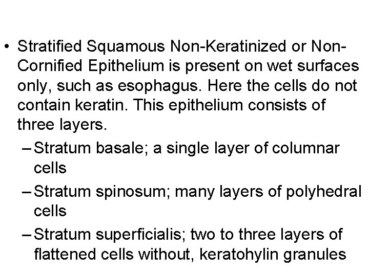  • Stratified Squamous Non-Keratinized or Non. Cornified Epithelium is present on wet surfaces