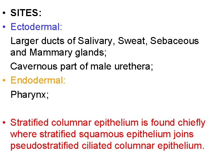  • SITES: • Ectodermal: Larger ducts of Salivary, Sweat, Sebaceous and Mammary glands;
