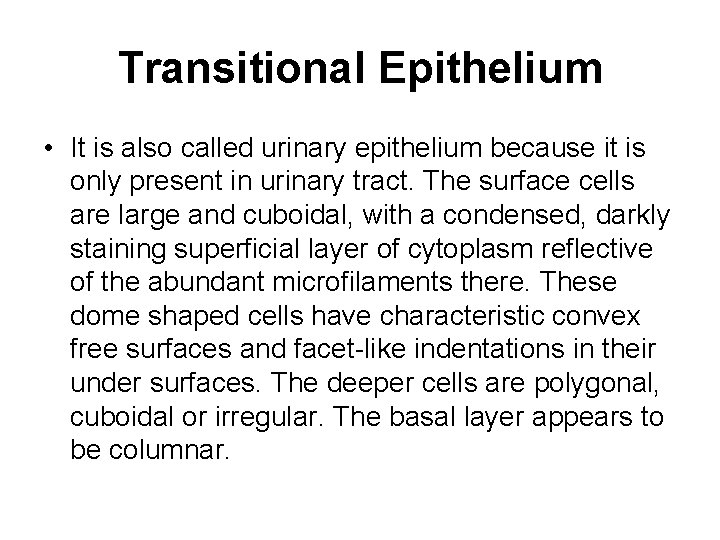 Transitional Epithelium • It is also called urinary epithelium because it is only present