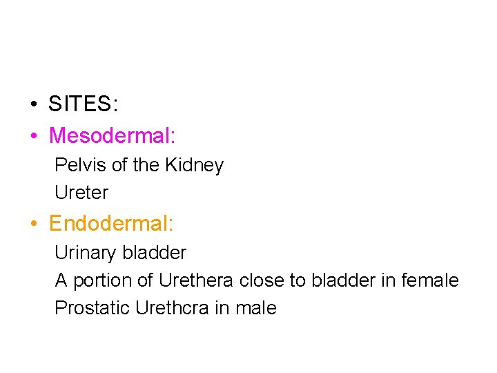  • SITES: • Mesodermal: Pelvis of the Kidney Ureter • Endodermal: Urinary bladder