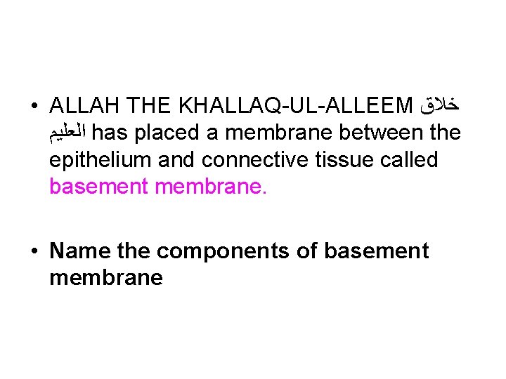  • ALLAH THE KHALLAQ-UL-ALLEEM ﺧﻼﻕ ﺍﻟﻌﻠﻴﻢ has placed a membrane between the epithelium