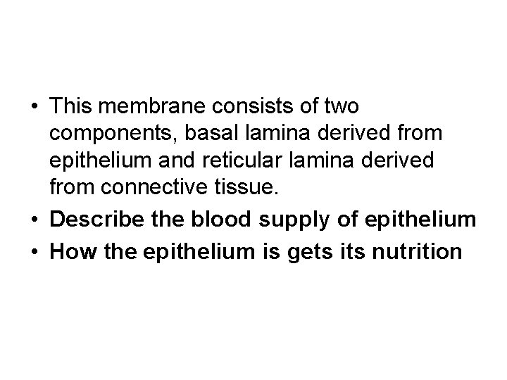  • This membrane consists of two components, basal lamina derived from epithelium and