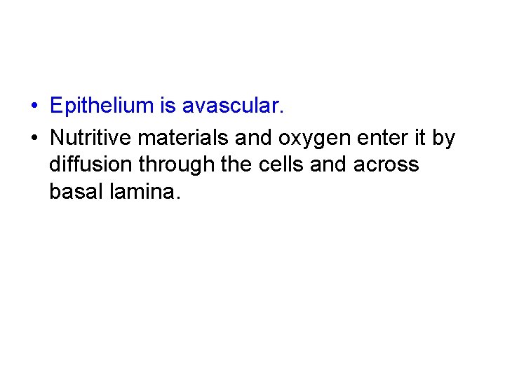  • Epithelium is avascular. • Nutritive materials and oxygen enter it by diffusion
