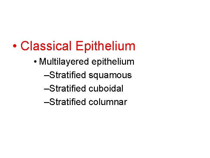  • Classical Epithelium • Multilayered epithelium –Stratified squamous –Stratified cuboidal –Stratified columnar 