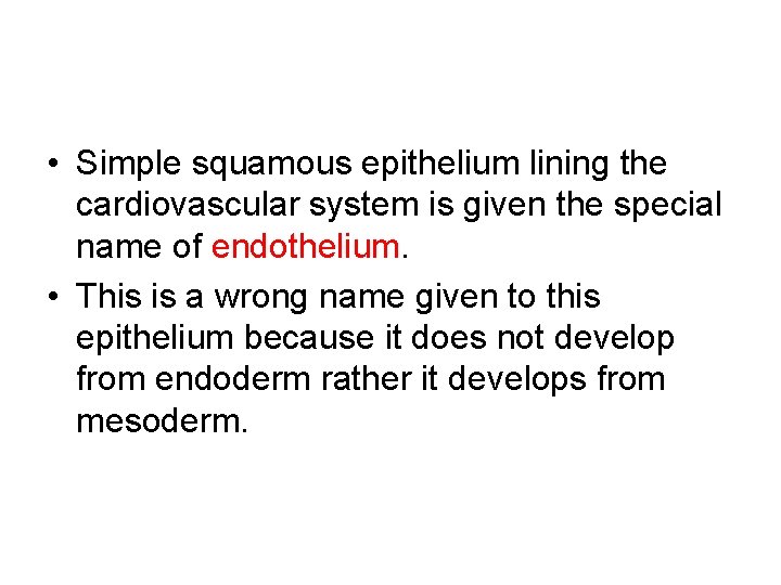  • Simple squamous epithelium lining the cardiovascular system is given the special name