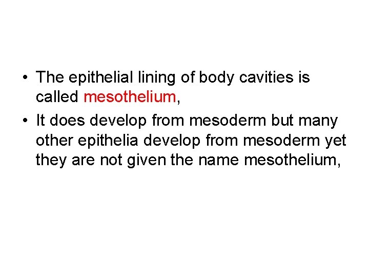  • The epithelial lining of body cavities is called mesothelium, • It does