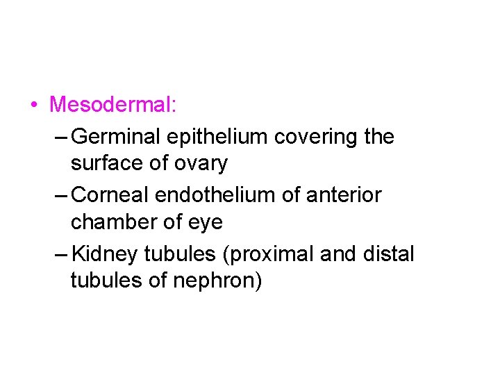  • Mesodermal: – Germinal epithelium covering the surface of ovary – Corneal endothelium