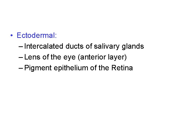  • Ectodermal: – Intercalated ducts of salivary glands – Lens of the eye