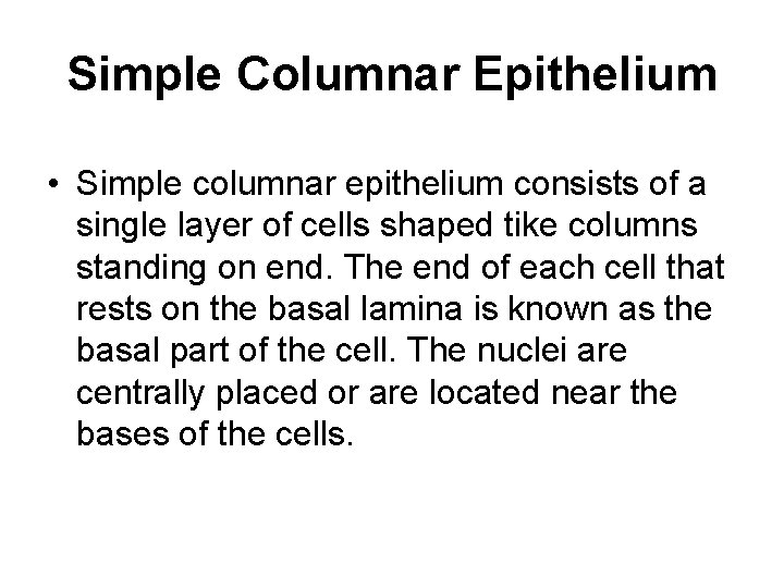 Simple Columnar Epithelium • Simple columnar epithelium consists of a single layer of cells
