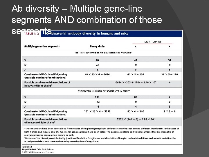 Ab diversity – Multiple gene-line segments AND combination of those segments 