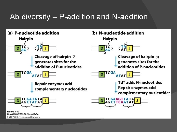 Ab diversity – P-addition and N-addition 