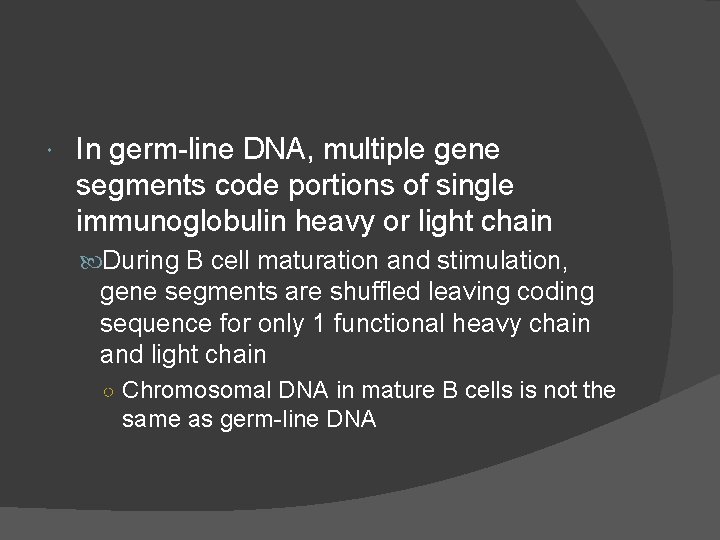  In germ-line DNA, multiple gene segments code portions of single immunoglobulin heavy or