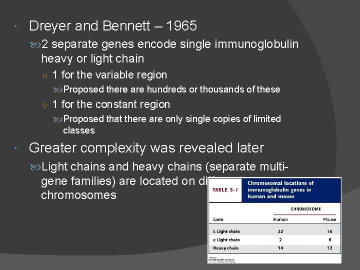  Dreyer and Bennett – 1965 2 separate genes encode single immunoglobulin heavy or
