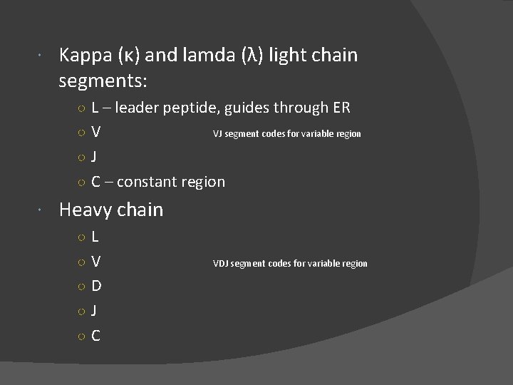  Kappa (κ) and lamda (λ) light chain segments: ○ L – leader peptide,