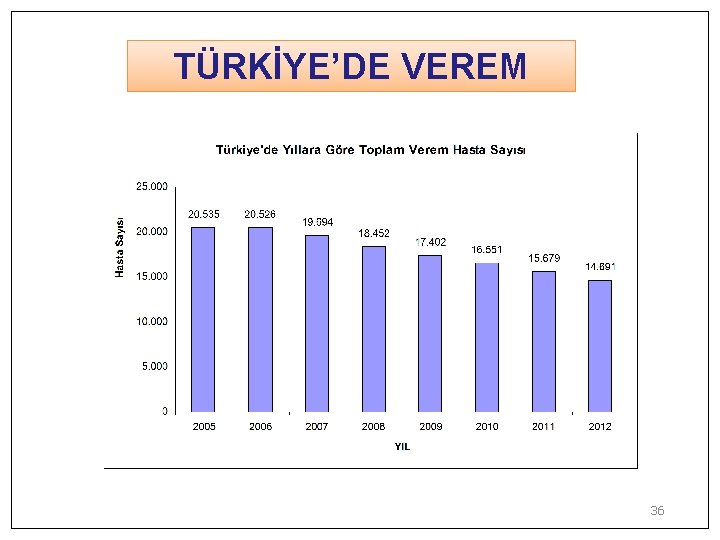 TÜRKİYE’DE VEREM 36 