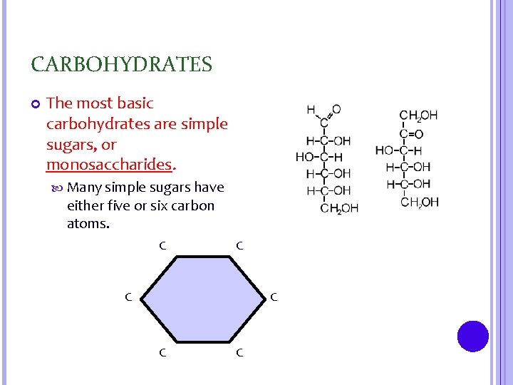 CARBOHYDRATES The most basic carbohydrates are simple sugars, or monosaccharides. Many simple sugars have