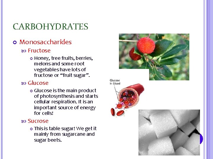 CARBOHYDRATES Monosaccharides Fructose Honey, tree fruits, berries, melons and some root vegetables have lots