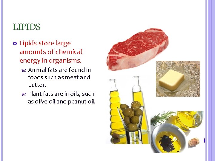 LIPIDS Lipids store large amounts of chemical energy in organisms. Animal fats are found