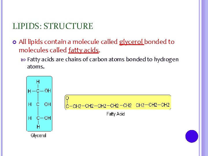 LIPIDS: STRUCTURE All lipids contain a molecule called glycerol bonded to molecules called fatty