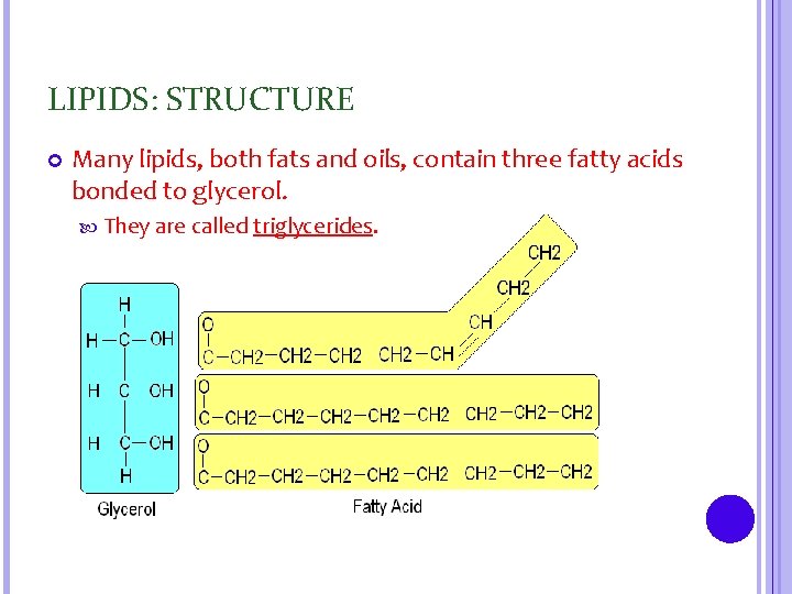 LIPIDS: STRUCTURE Many lipids, both fats and oils, contain three fatty acids bonded to