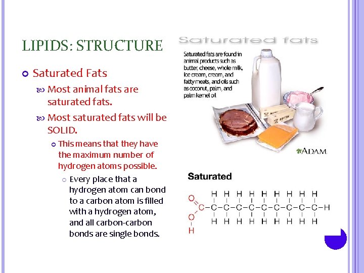 LIPIDS: STRUCTURE Saturated Fats Most animal fats are saturated fats. Most saturated fats will