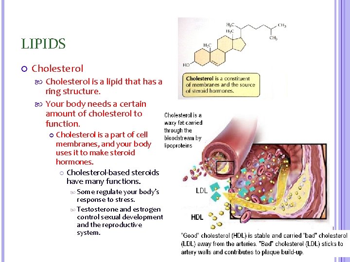 LIPIDS Cholesterol is a lipid that has a ring structure. Your body needs a