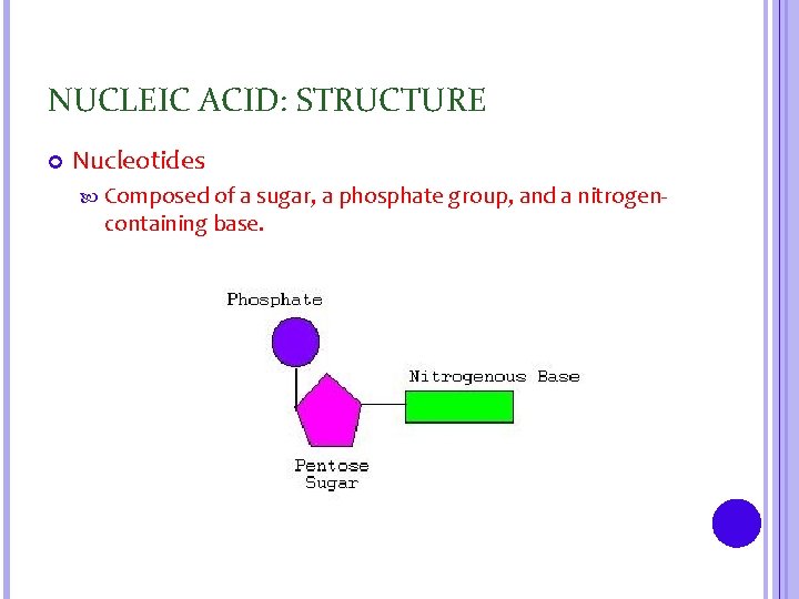 NUCLEIC ACID: STRUCTURE Nucleotides Composed of a sugar, a phosphate group, and a nitrogen-