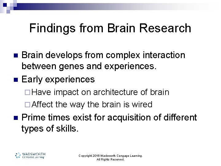 Findings from Brain Research n n Brain develops from complex interaction between genes and