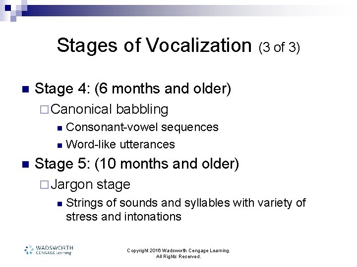 Stages of Vocalization (3 of 3) n Stage 4: (6 months and older) ¨