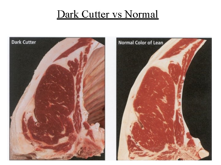 Dark Cutter vs Normal 