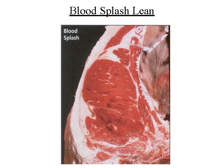 Blood Splash Lean 