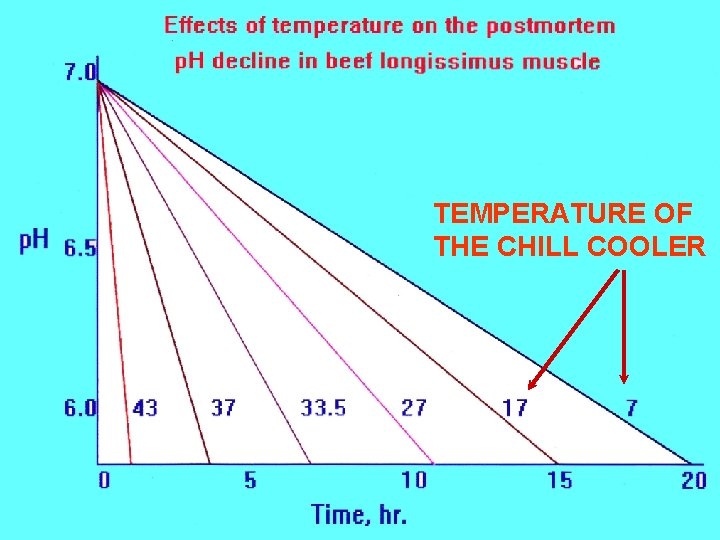 TEMPERATURE OF THE CHILL COOLER 