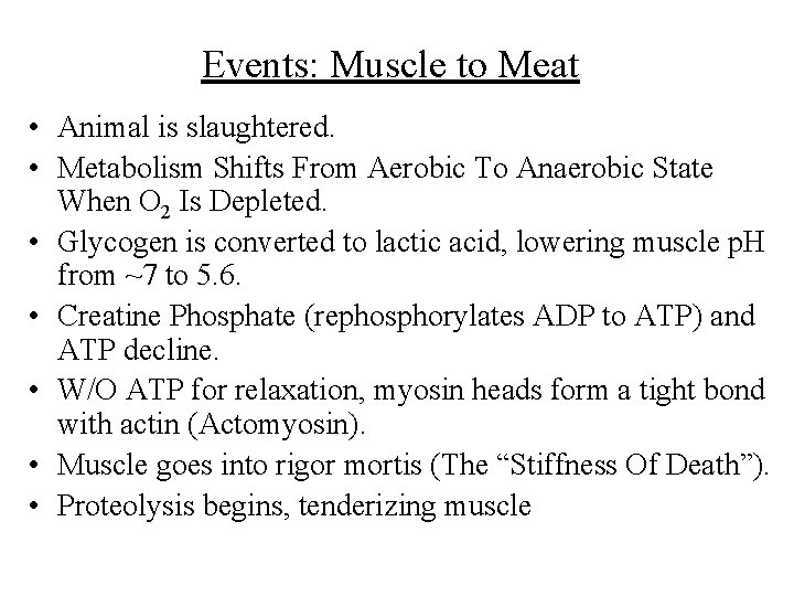 Events: Muscle to Meat • Animal is slaughtered. • Metabolism Shifts From Aerobic To