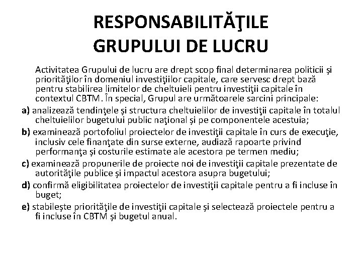 RESPONSABILITĂŢILE GRUPULUI DE LUCRU Activitatea Grupului de lucru are drept scop final determinarea politicii