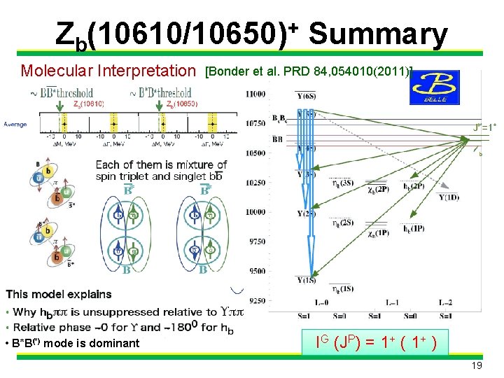 Zb(10610/10650)+ Summary Molecular Interpretation • B*B(*) mode is dominant [Bonder et al. PRD 84, Zb(10610/10650)+ Summary Molecular Interpretation • B*B(*) mode is dominant [Bonder et al. PRD 84,