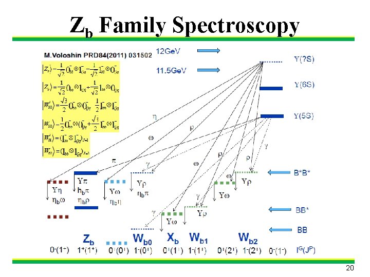 Zb Family Spectroscopy 20 