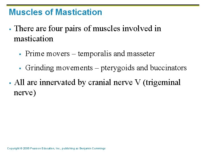 Muscles of Mastication § § There are four pairs of muscles involved in mastication