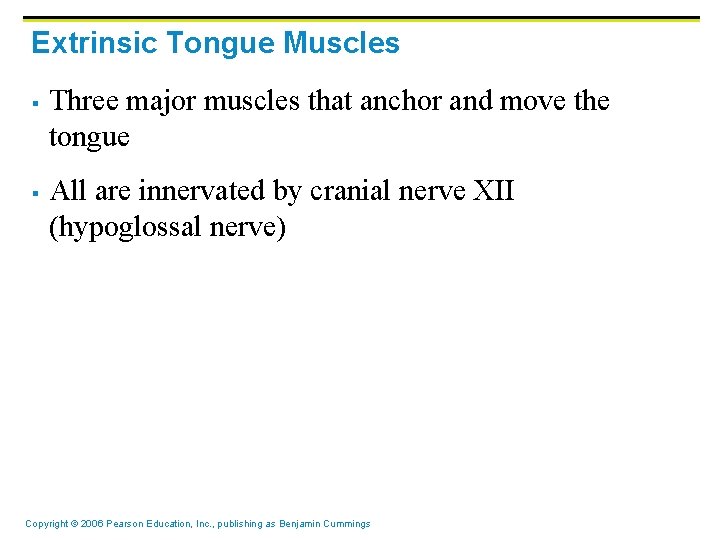 Extrinsic Tongue Muscles § § Three major muscles that anchor and move the tongue