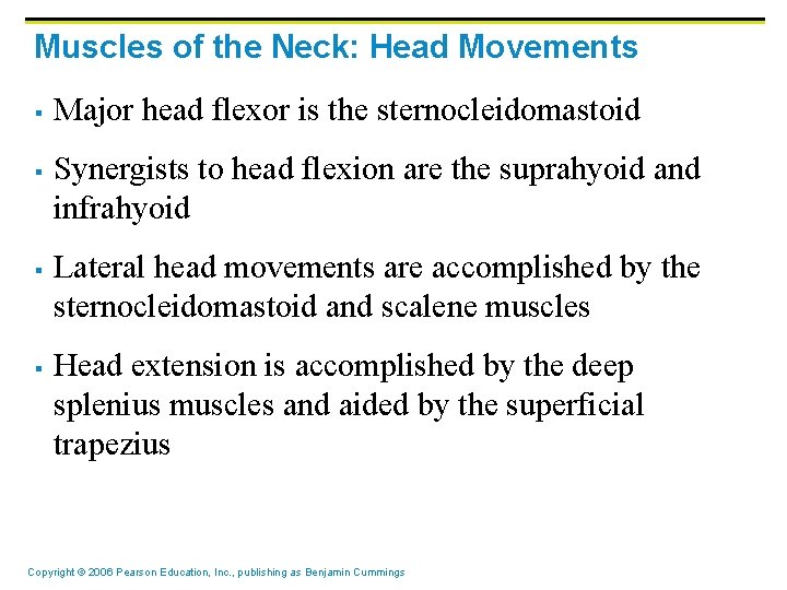 Muscles of the Neck: Head Movements § § Major head flexor is the sternocleidomastoid