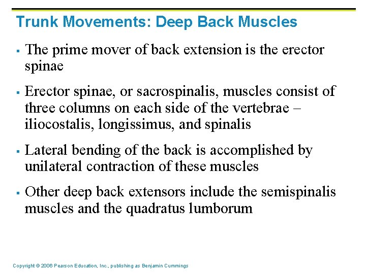 Trunk Movements: Deep Back Muscles § § The prime mover of back extension is