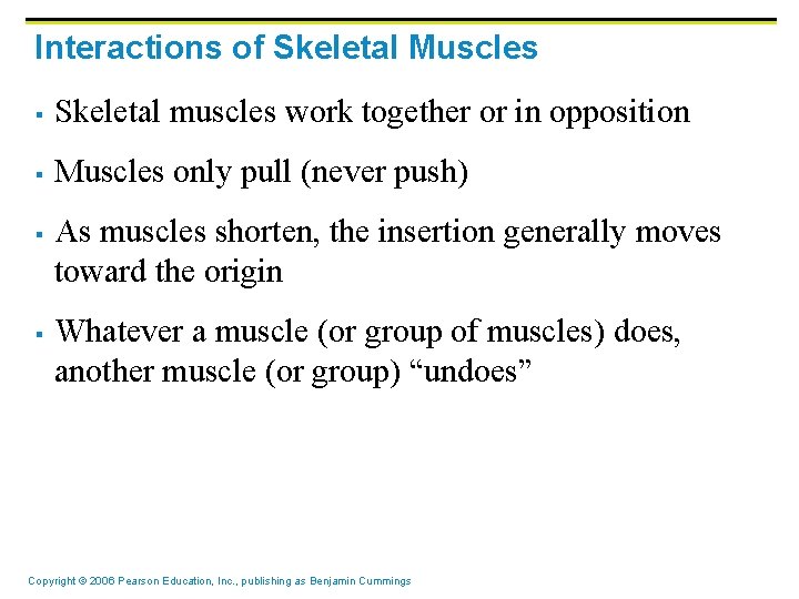 Interactions of Skeletal Muscles § Skeletal muscles work together or in opposition § Muscles