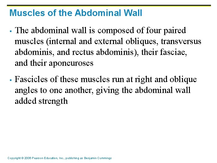 Muscles of the Abdominal Wall § § The abdominal wall is composed of four