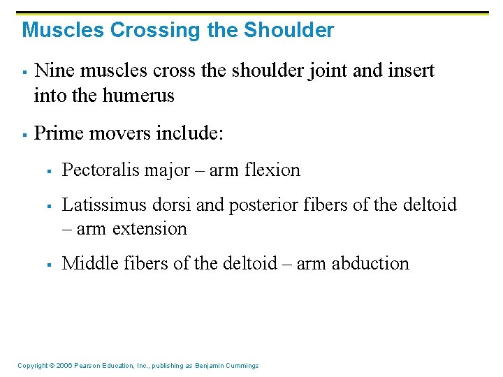 Muscles Crossing the Shoulder § § Nine muscles cross the shoulder joint and insert